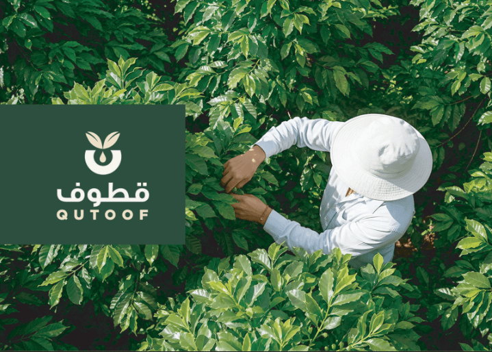 عن قطوف